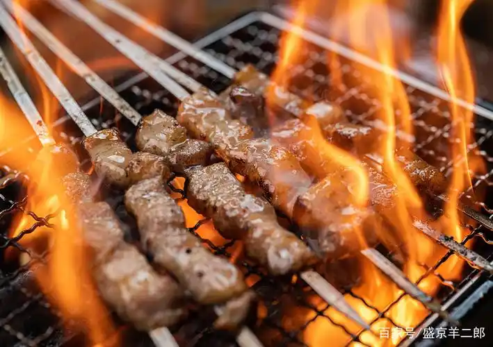 盛京羊二郎|户外烧烤攻略大全——准备篇