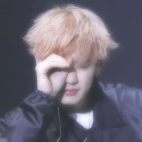 自制exo朴灿烈头像佩奇「九辞」拿图点赞收藏