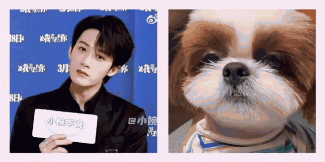 这父子三个太可爱了,呆球和爸比越来越像了  @mic檀健次jc-t