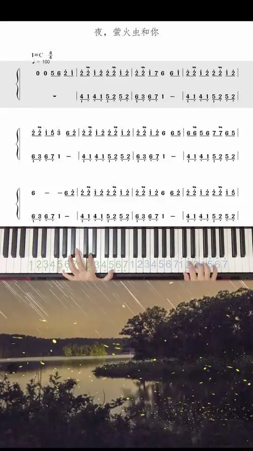 夜萤火虫和你钢琴谱
