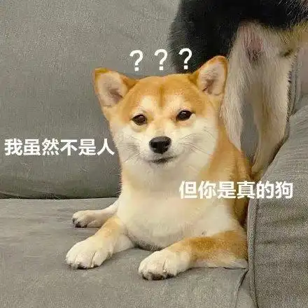 我虽然不是人但你是真的狗_不是_虽然_真的表情