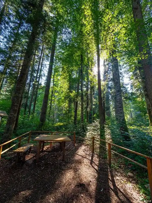 夏天来了,万物复苏,大自然也开始展现出它最美丽的一面