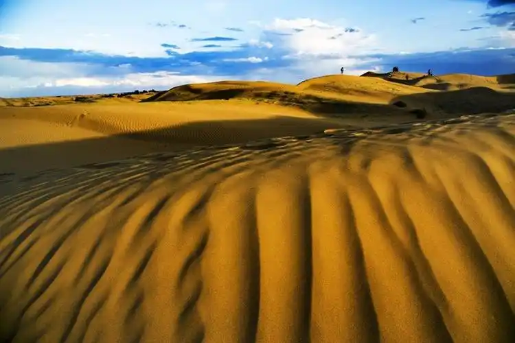 【大漠追风摄影图片】内蒙古恩格贝风光摄影_太平洋电脑网摄影部落