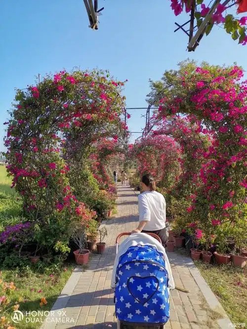 cs95带着小女儿石狮花海谷公园游记