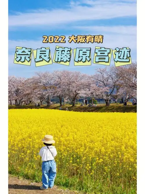 奈良藤原宫迹花的海洋