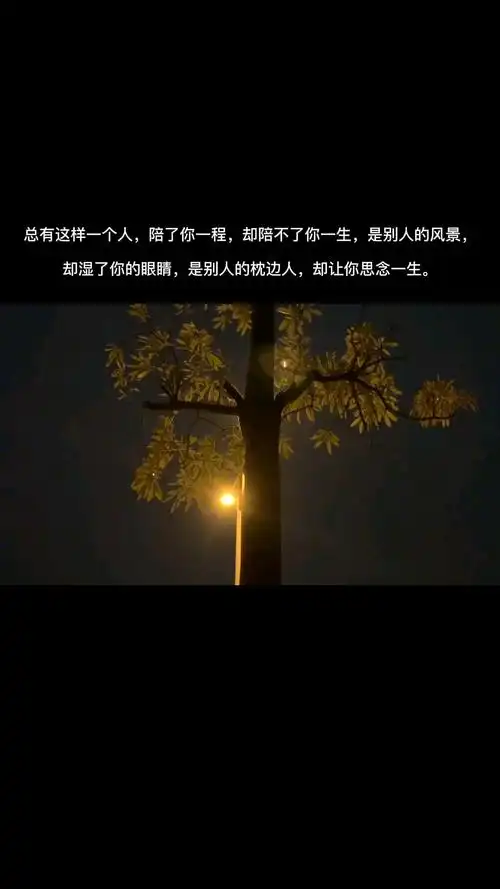 总有这样一个人,陪了你一程,却陪不了你一生,是别人的风景,却湿了你的