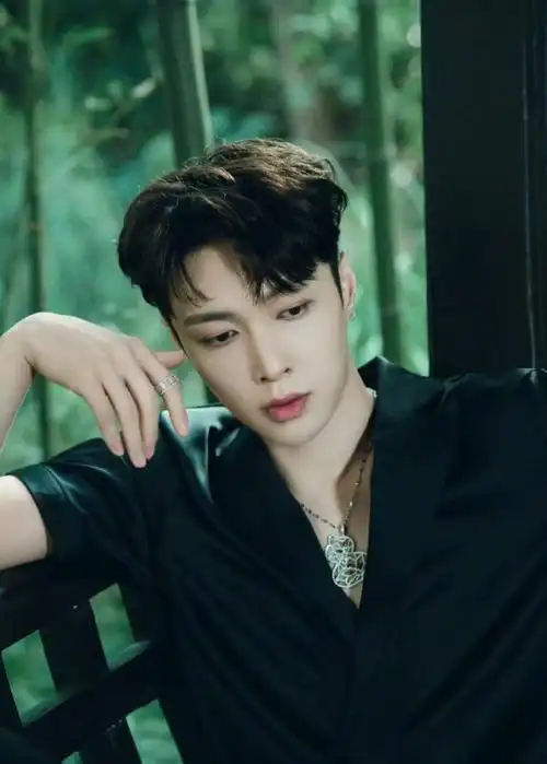 在韩国出道的中国男艺人还有很多:鹿晗,黄子韬,韩庚,王嘉尔,刘宪华