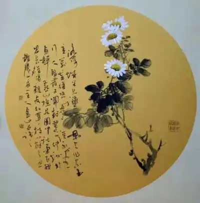 小雏菊