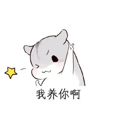 hamham仓鼠哄老婆开心万能qq微信表情包