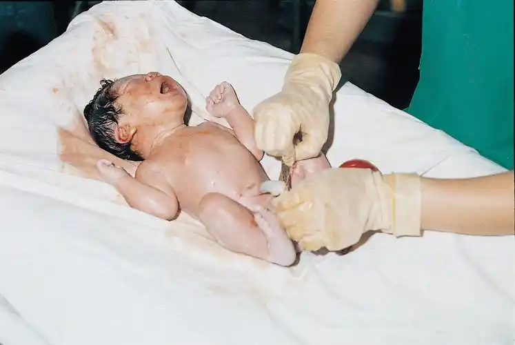 图解自然分娩全过程,胆小者勿入!