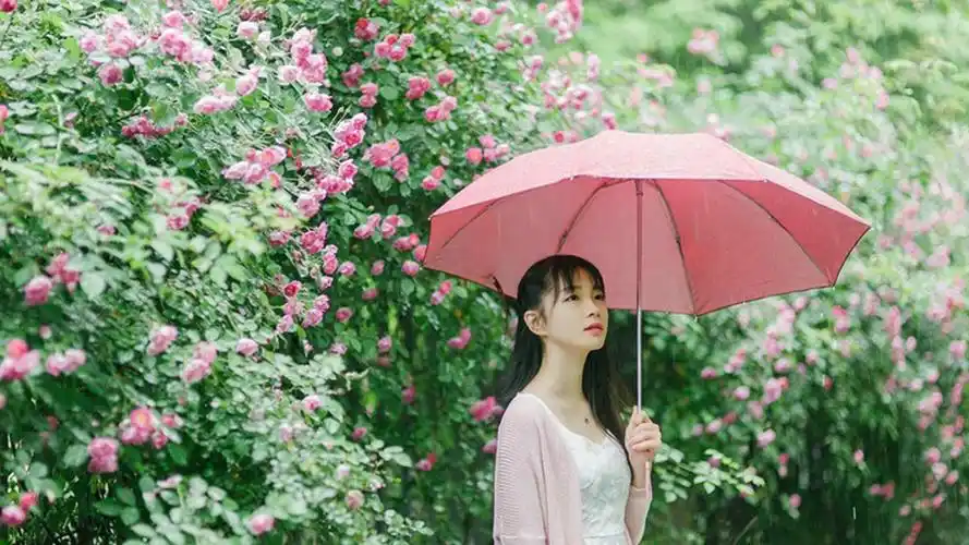 文艺范美女雨中撑伞户外写真图片桌面壁纸_美女壁纸_壁纸下载_美桌网