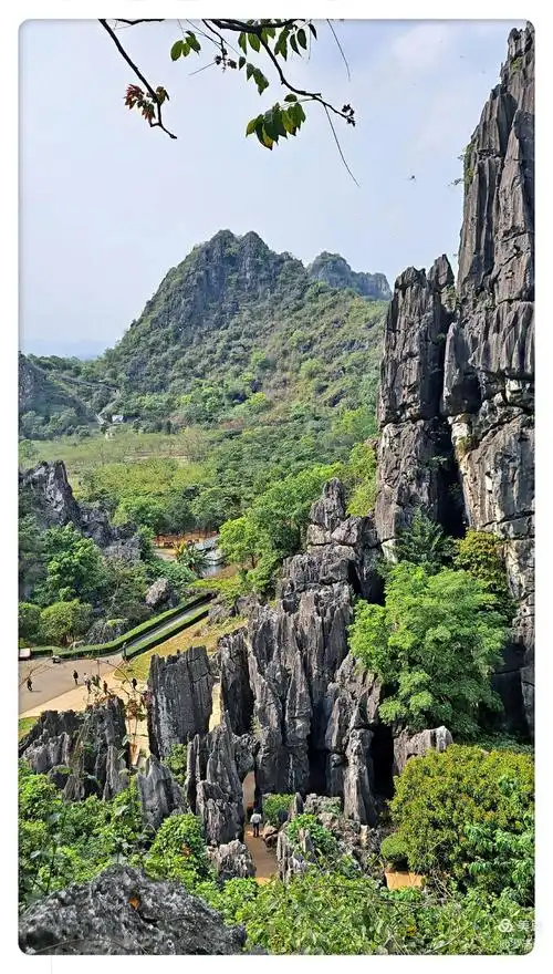 《粤西行》一 春湾石林