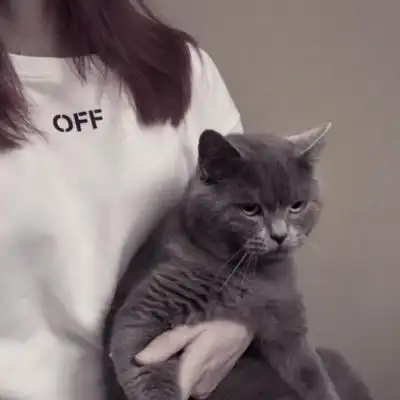 温柔抱猫部位闺蜜头 遇到那么多_女生头像_我要个性网