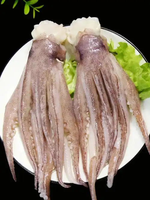 鱿鱼头鱿鱼海鲜水产章鱼鱿鱼须冷冻鱿鱼头香嫩 鱿鱼头 八斤装