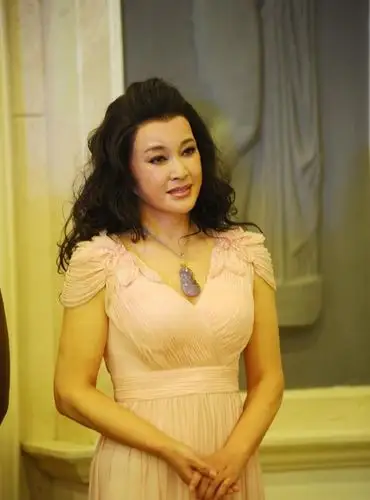 64岁刘晓庆近照路人镜头下的她奶奶年纪过于真实