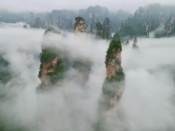 《云雾缭绕张家界》此组图片拍摄于张家界国家森林公园"十里画廊". -