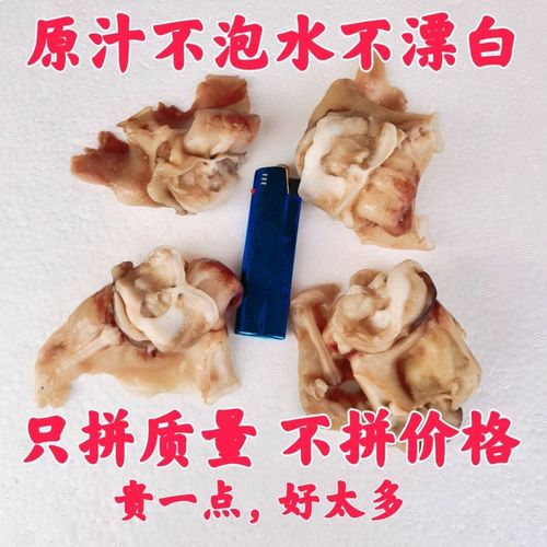 鱿鱼脖子批发鱿鱼脆骨新鲜冷冻无冰衣原汁不水发不漂白必备食材