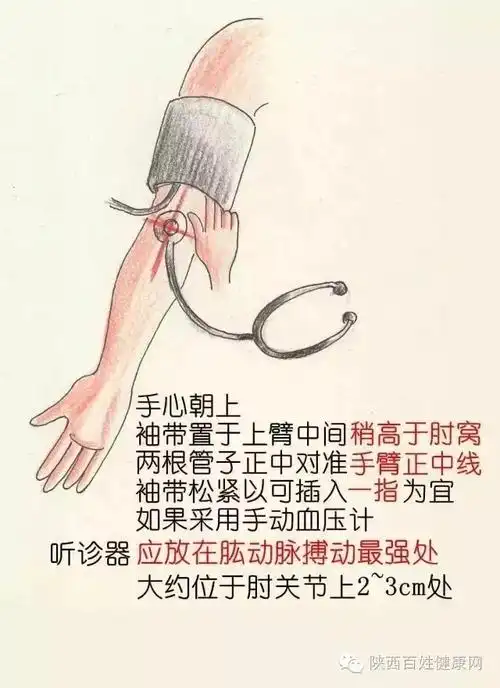 测量血压也需良辰吉日和正确姿势!