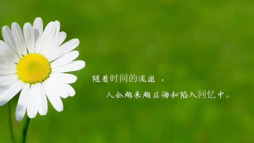 时光匆匆流逝的说说配图