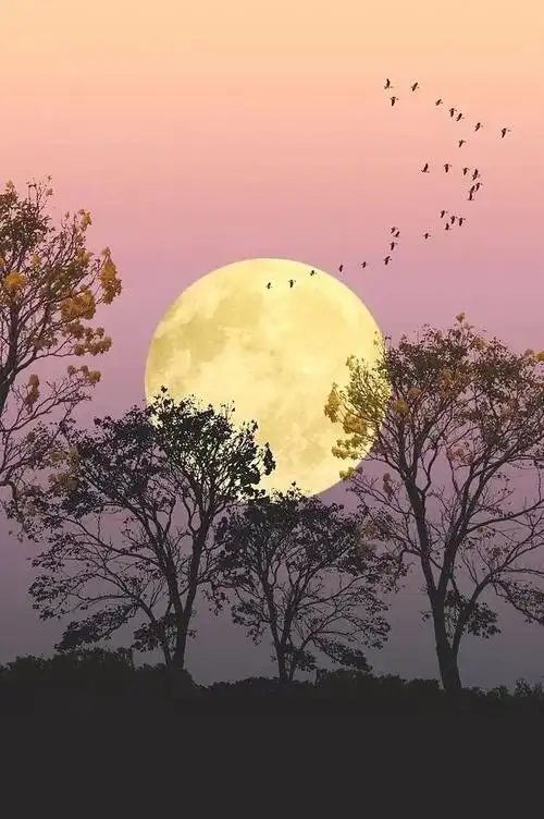 清风明月是最浪漫的事