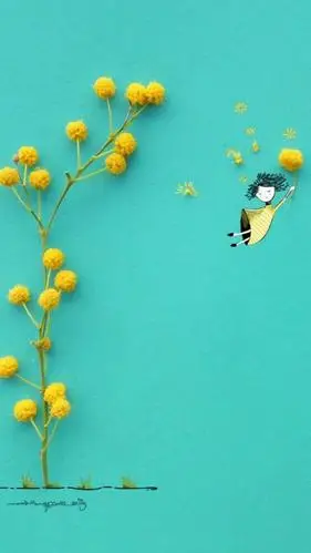 小清新静物背景,高清图片,手机锁屏桌面-壁纸族