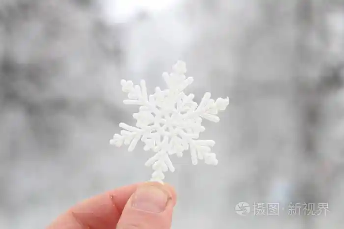 冬天雪的想法手拿着一朵雪花