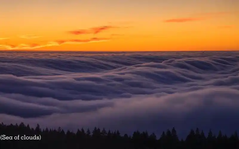 第3期【wallpaper电脑壁纸】13张动态唯美治愈风景壁纸分享