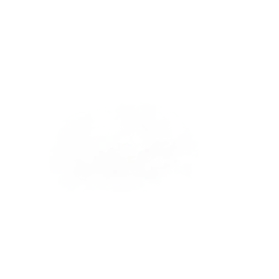 透明png图片图片大全