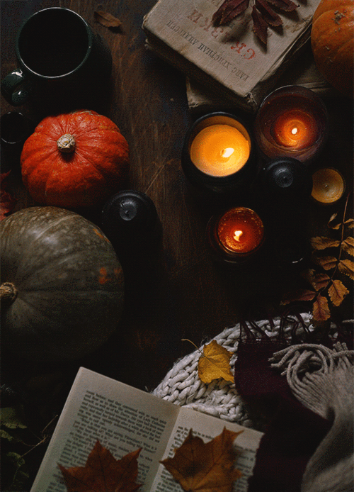 540_750竖版 竖屏gif 动态图 动图