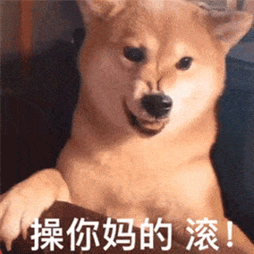 表情包杂集猛狗哭泣