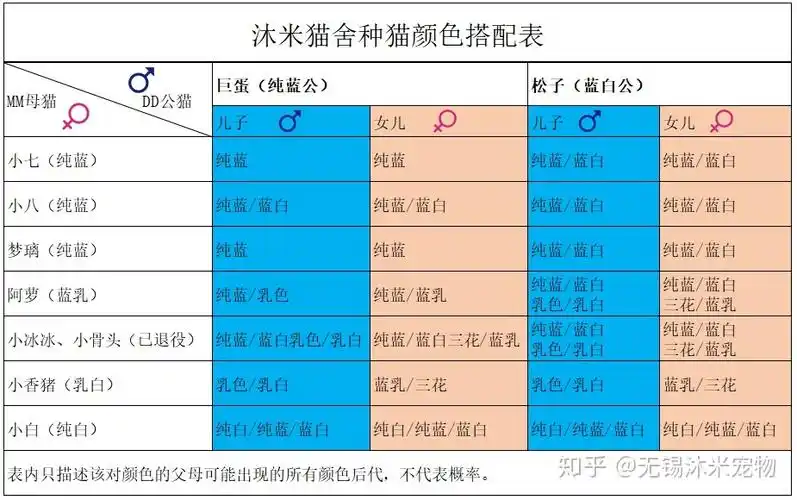 英国短毛猫配色相关问题