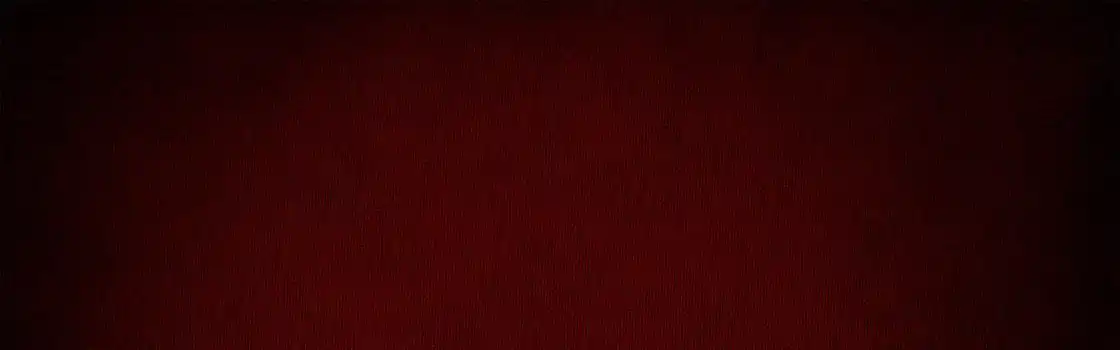 酒红色红糖食品