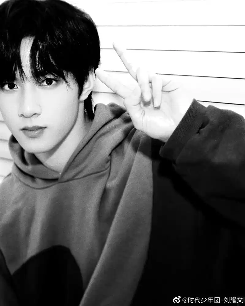 刘耀文 中国内地男歌手,演员