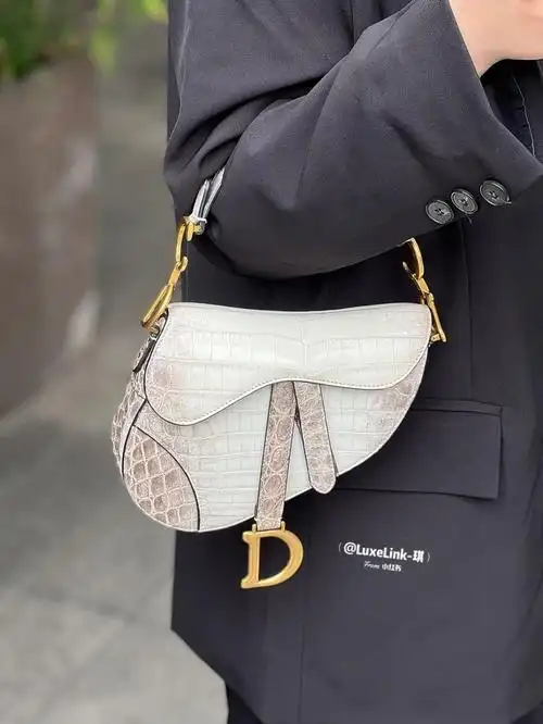dior喜马拉雅马鞍包