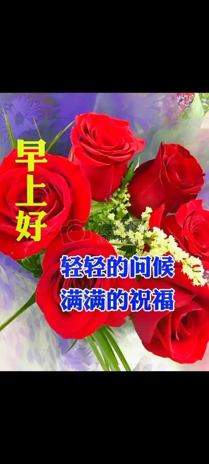 抖音图文来了 #统一回复朋友们早上好#美好的一天从我的问候 - 抖音