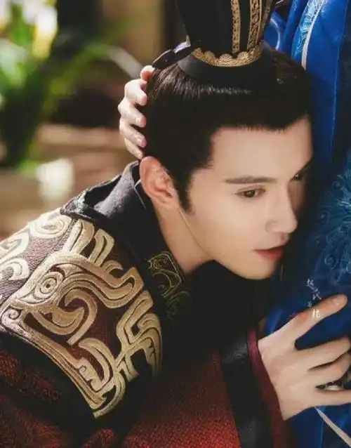 徐正溪宇文护惊艳