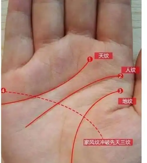 手上有这三种特征的女人,注定一生受苦受气命