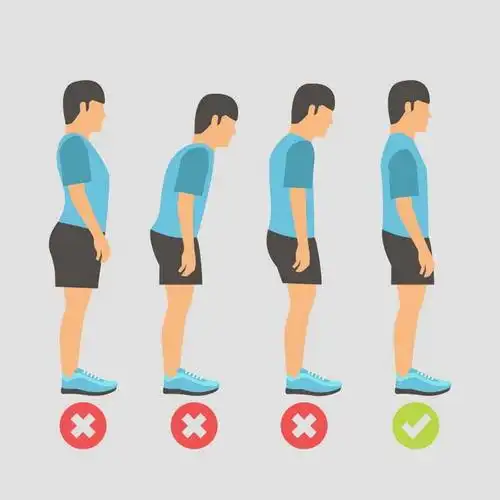 驼背骨盆前倾和骨盆后倾错误站姿对比图图片免抠素材