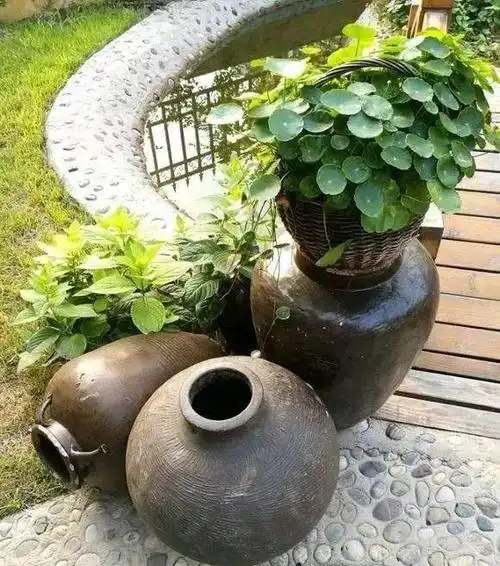 而一些大肚子的坛子,大型的酒坛等,更是可以发挥它的室外庭院的装饰