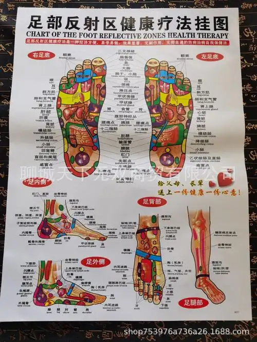 人体足部反射区挂图足底按摩穴位图片足疗足部足底穴位图人体经络