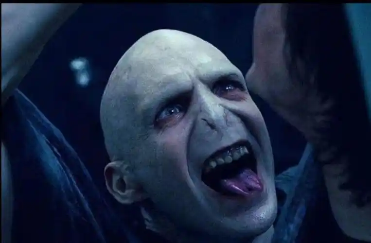 不要问我为什么现在才更新[doge]#哈利波特表情包  #表情包  #搞笑