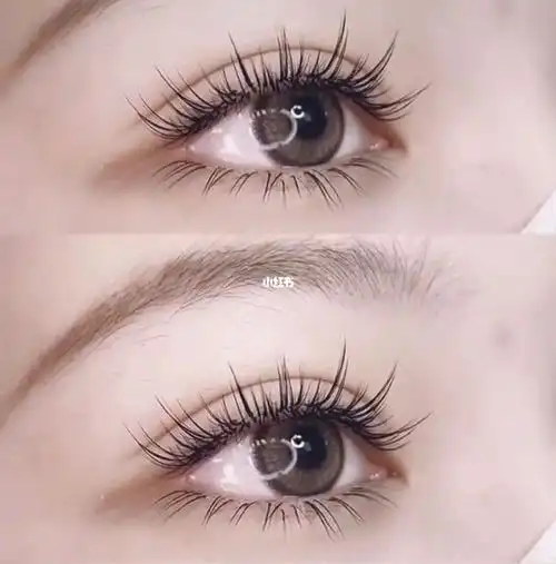 湾区美睫 旧金山美睫 日式单根嫁接