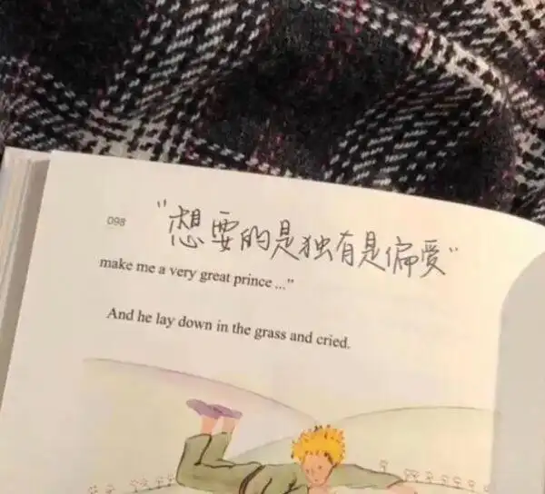 关于偏爱的宝藏文案关于偏爱的朋友圈文案短句