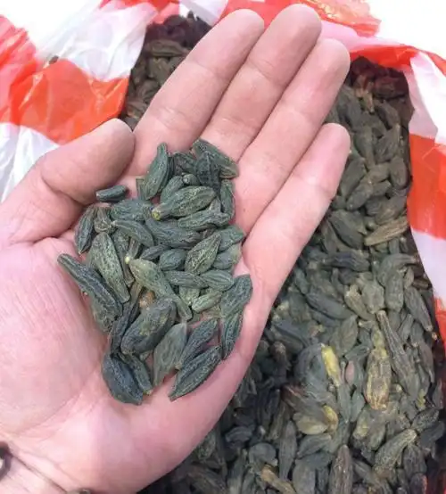 西藏野生藏青果500克 高原纯天然无污染青果子 养胃西青果 包邮