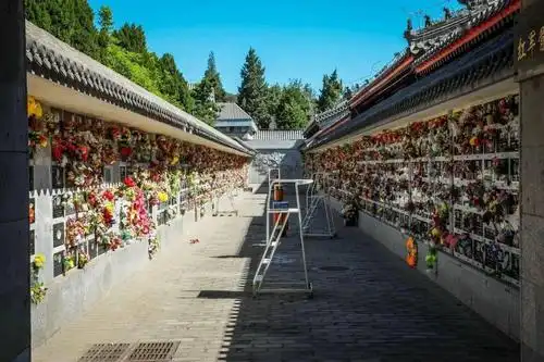 秀show61杰spirits红色之旅带您走进八宝山革命公墓