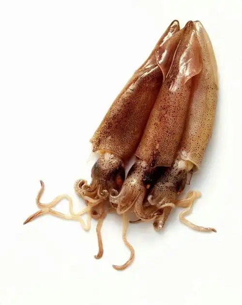 p> a href="#">小岞 /a>鱿鱼干在福建省最负盛名,每年农历四月至八月