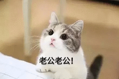 有什么适用于和老公/男票撒娇的可爱表情包?