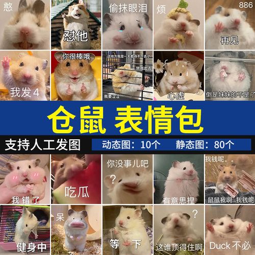 小仓鼠表情包 可爱动物萌宠搞笑沙雕聊天斗图表情图系列
