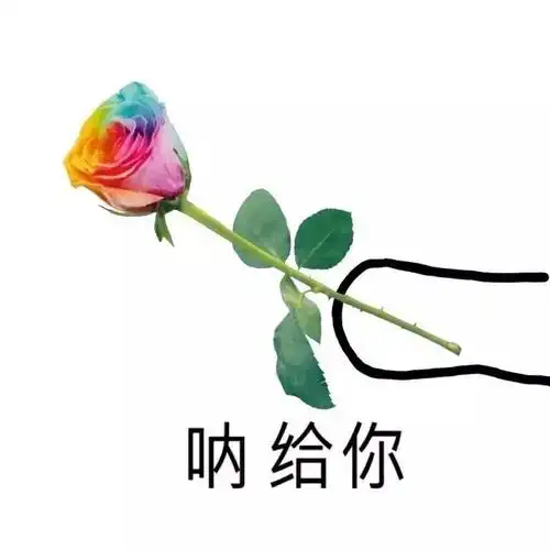 呐,给你小花 - 斗图表情包 - 爱逗图