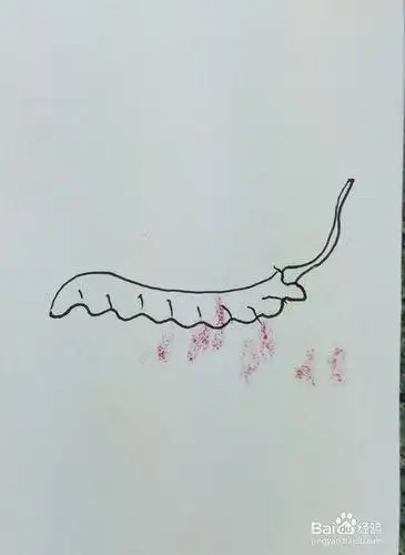 怎样画简笔画冬虫夏草